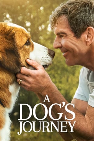 movie poster for A Dog's Journey