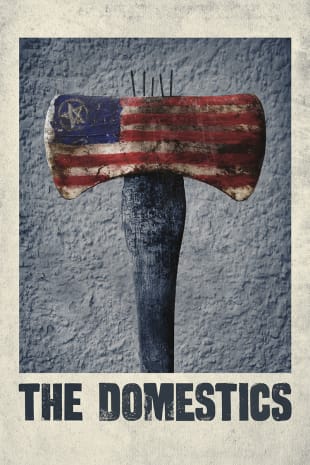 movie poster for The Domestics