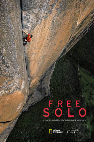 movie poster for Free Solo