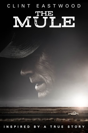 movie poster for The Mule