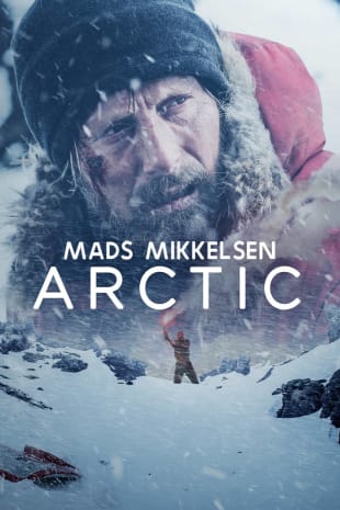movie poster for Arctic