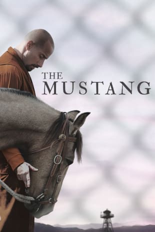 movie poster for The Mustang