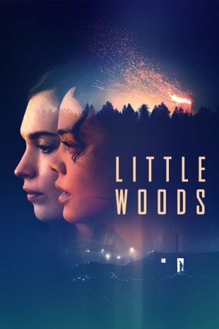 movie poster for Little Woods
