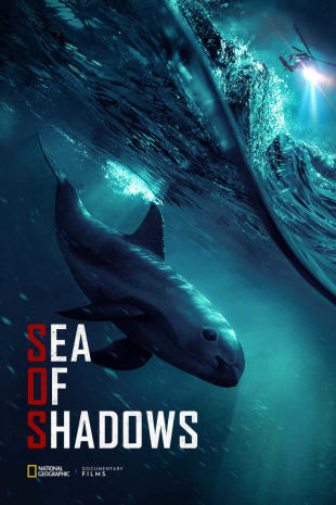 movie poster for Sea Of Shadows