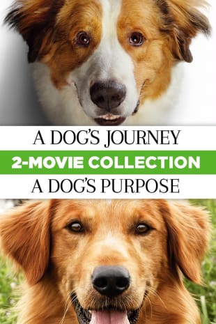 movie poster for A Dog's Journey & A Dog's Purpose
