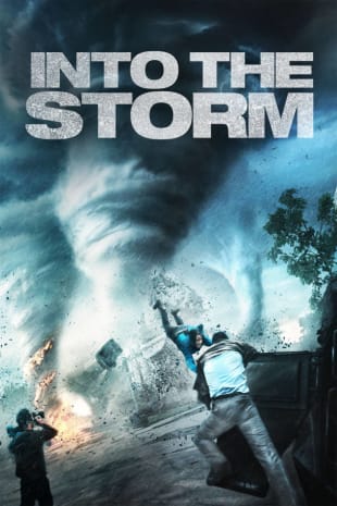 movie poster for Into The Storm (2014)