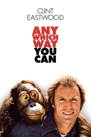 movie poster for Any Which Way You Can