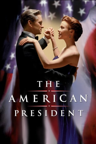 movie poster for The American President