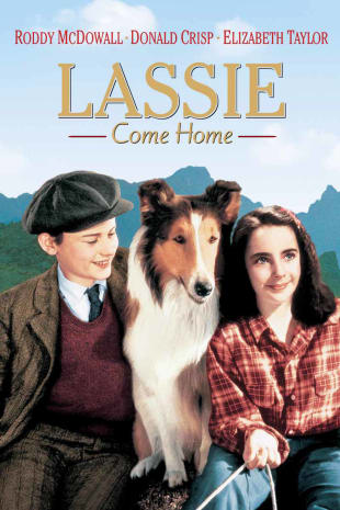 movie poster for Lassie Come Home