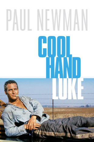 movie poster for Cool Hand Luke