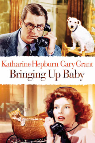 movie poster for Bringing Up Baby