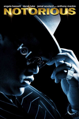 movie poster for Notorious (2009)