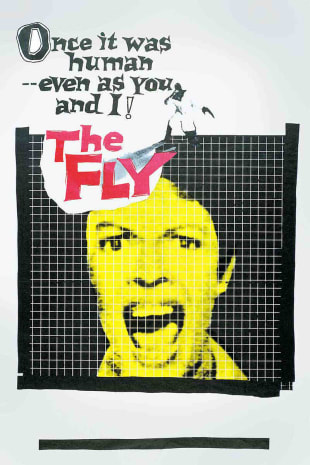 movie poster for The Fly (1958)