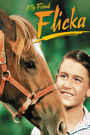 movie poster for My Friend Flicka