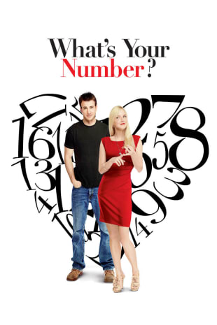 movie poster for What's Your Number?