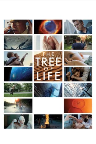 movie poster for The Tree Of Life