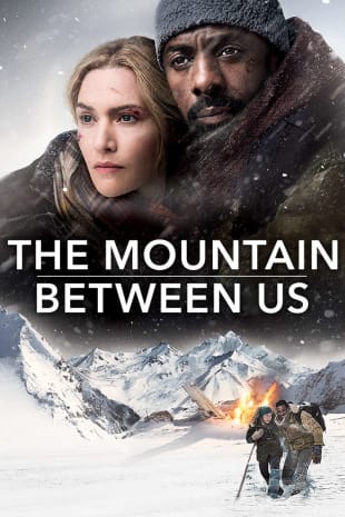 movie poster for The Mountain Between Us