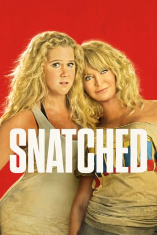 movie poster for Snatched