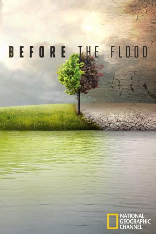 movie poster for Before The Flood