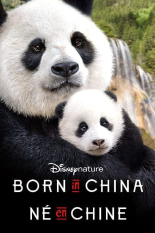 movie poster for Born In China