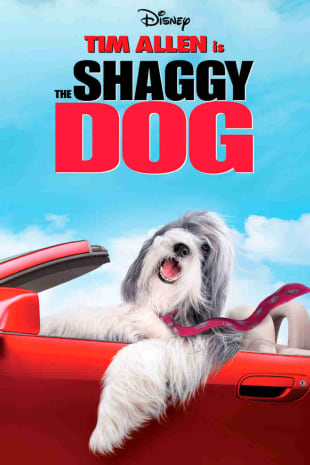 movie poster for The Shaggy Dog
