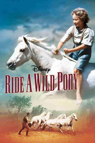 movie poster for Ride A Wild Pony