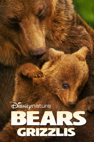 movie poster for Bears