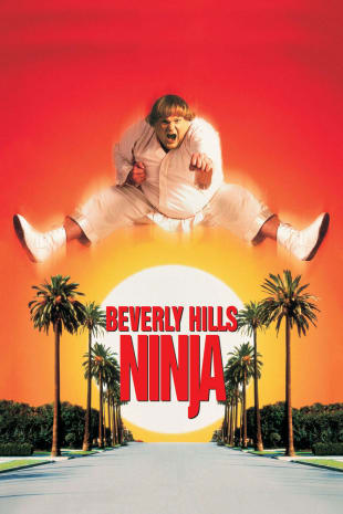 movie poster for Beverly Hills Ninja
