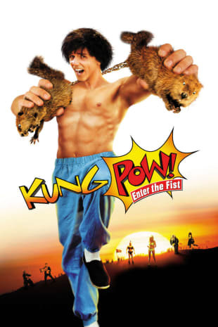 movie poster for Kung Pow: Enter the Fist