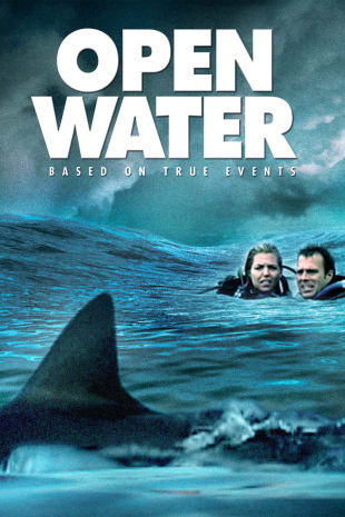movie poster for Open Water