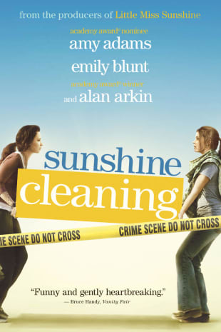 movie poster for Sunshine Cleaning