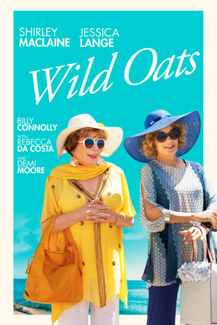 movie poster for Wild Oats