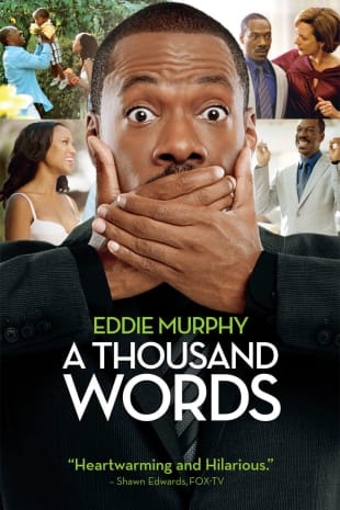 movie poster for A Thousand Words
