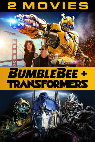 transformers 6 movie