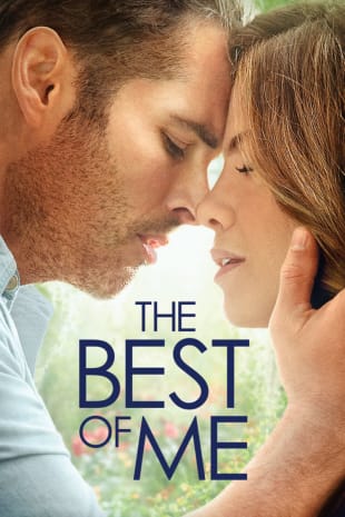 movie poster for The Best Of Me