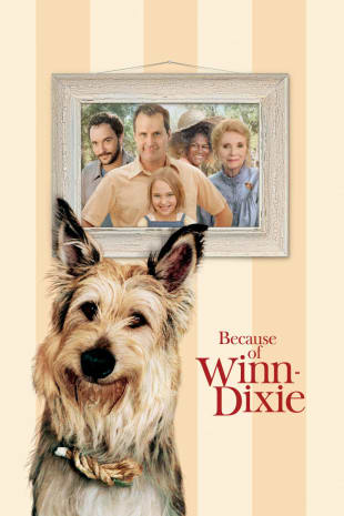 movie poster for Because Of Winn-Dixie