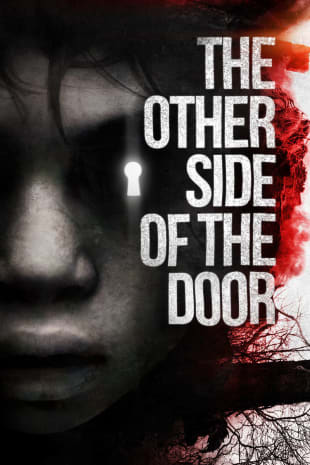 movie poster for The Other Side Of The Door