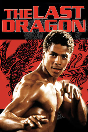 movie poster for The Last Dragon