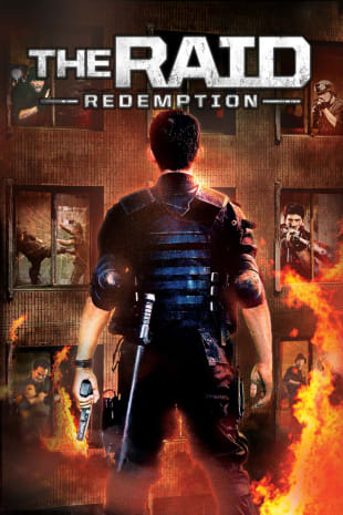 movie poster for The Raid: Redemption