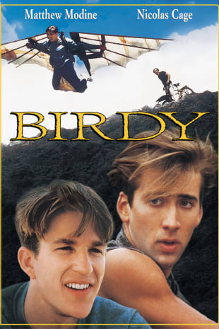 movie poster for Birdy