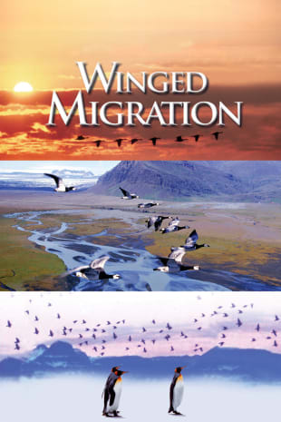 movie poster for Winged Migration