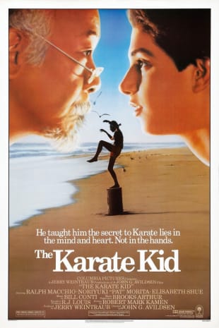 movie poster for The Karate Kid (1984)
