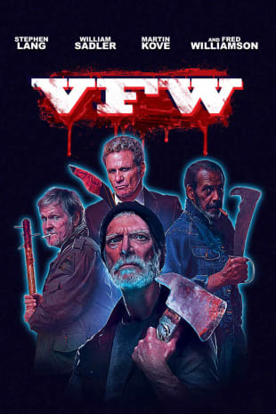 movie poster for VFW