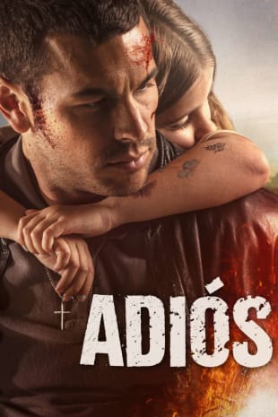 movie poster for Adios