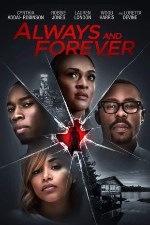 movie poster for Always And Forever