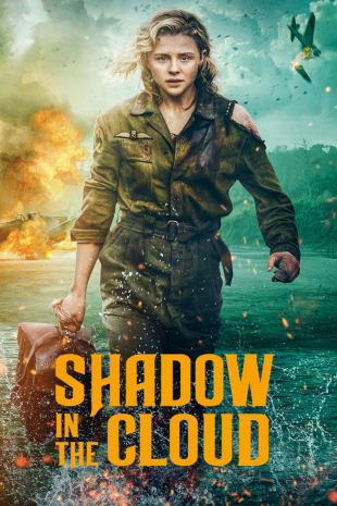 movie poster for Shadow In The Cloud