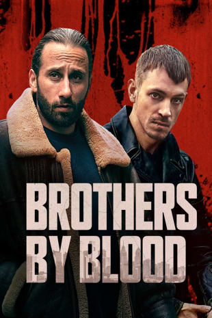 movie poster for Brothers By Blood