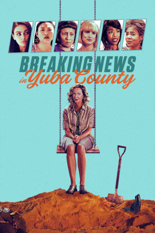 movie poster for Breaking News In Yuba County