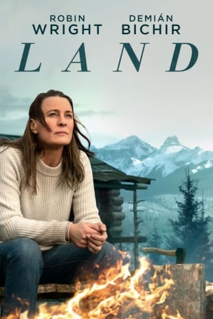 movie poster for Land
