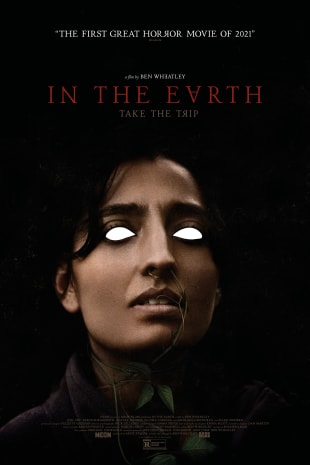 movie poster for In The Earth